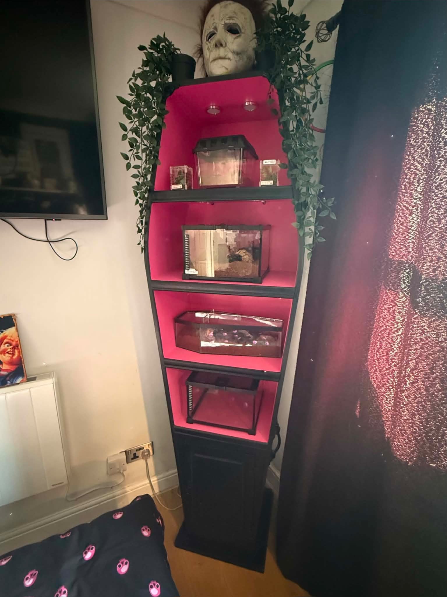 Illuminated pink coffin shelving by GJ's Emporium